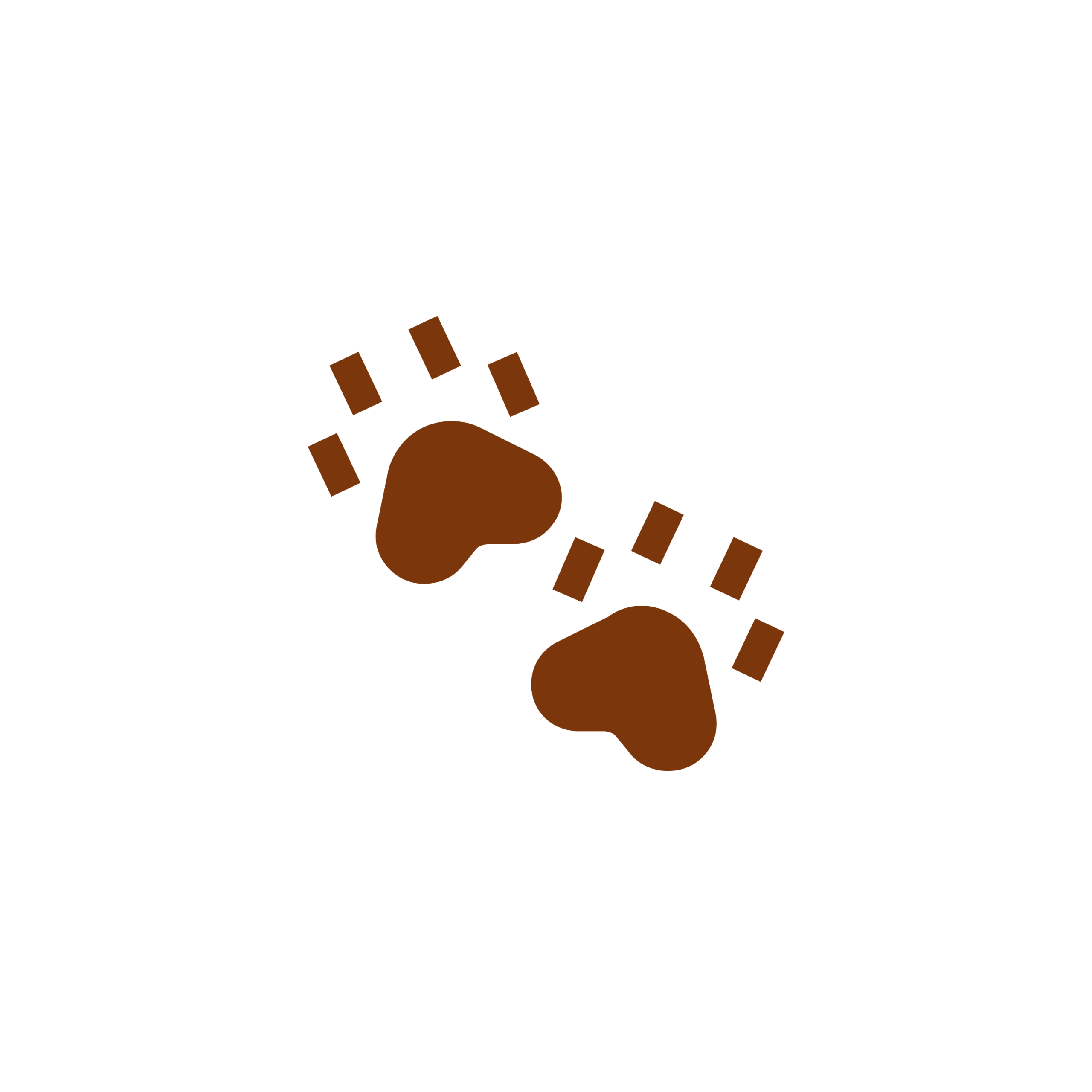 Brown paw print icon for pet-themed summer coloring book